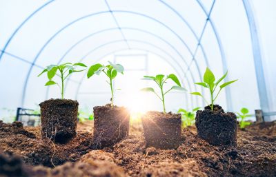 Greenhouse Construction detail