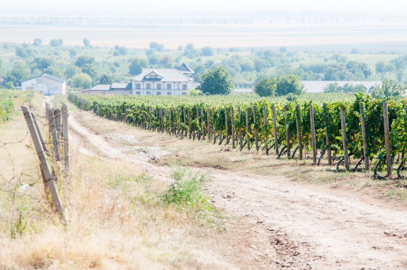 Wood Trellis Installation detail